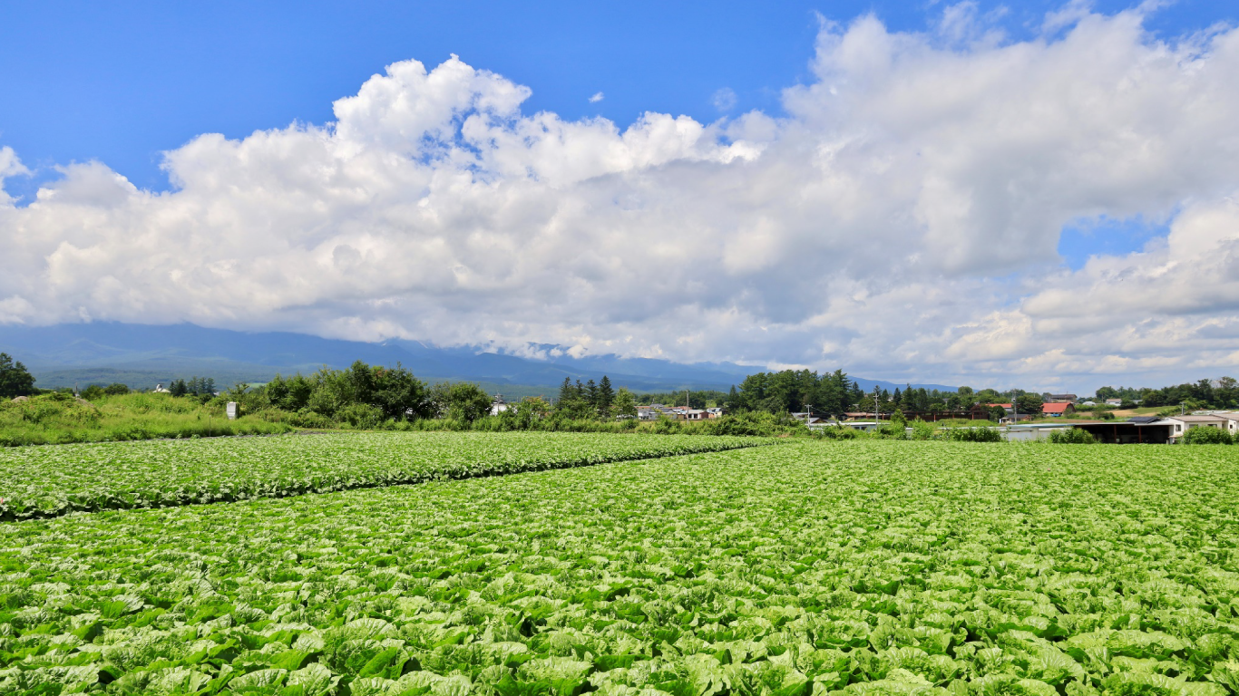 野辺山高原の景色