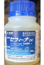 セフィーナDC
